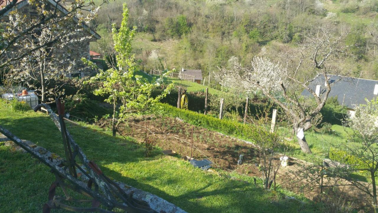 Vv La Pumarada De Limes II Cangas De Narcea Extérieur photo